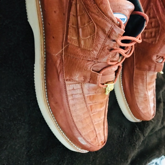 COPY - Gators - Picture 3 of 8